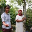 Coffee picker