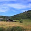 Gayo landscapre field