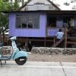 nice house color